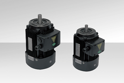 立式多級離心泵電機(jī)